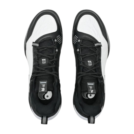 WADE ICE 2 V2 YINYANG