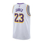 ASSOCIATION JERSEY KIDS LAKERS LEBRON