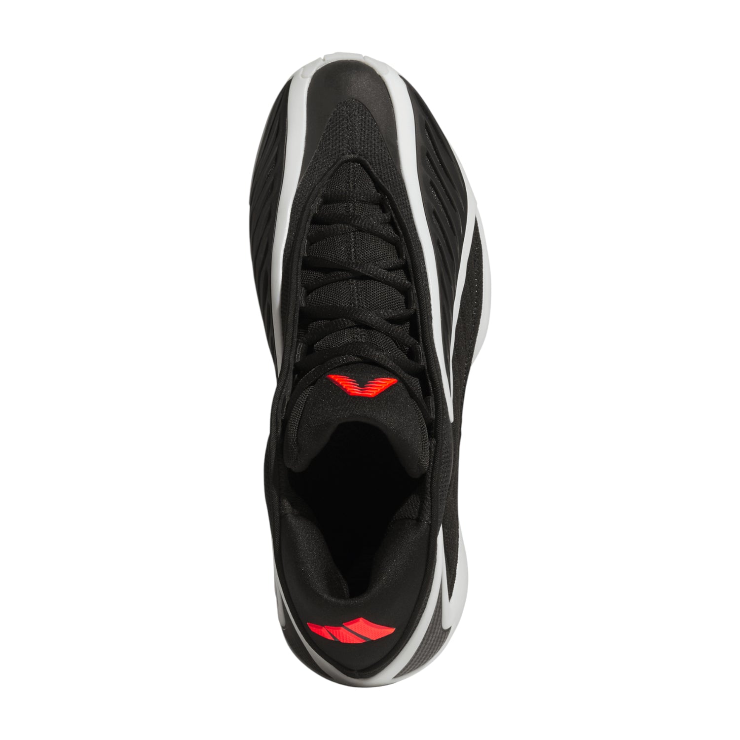 scarpa da basket Adidas Anthony Edwards signature AE 2 &