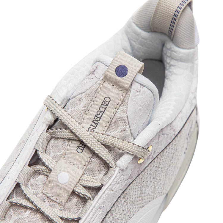 Scarpe da basket Li-Ning Wade All City 13 Encore Lunar Rock, modello adulto uomo, color bianco e grigio, dettagli visibili.