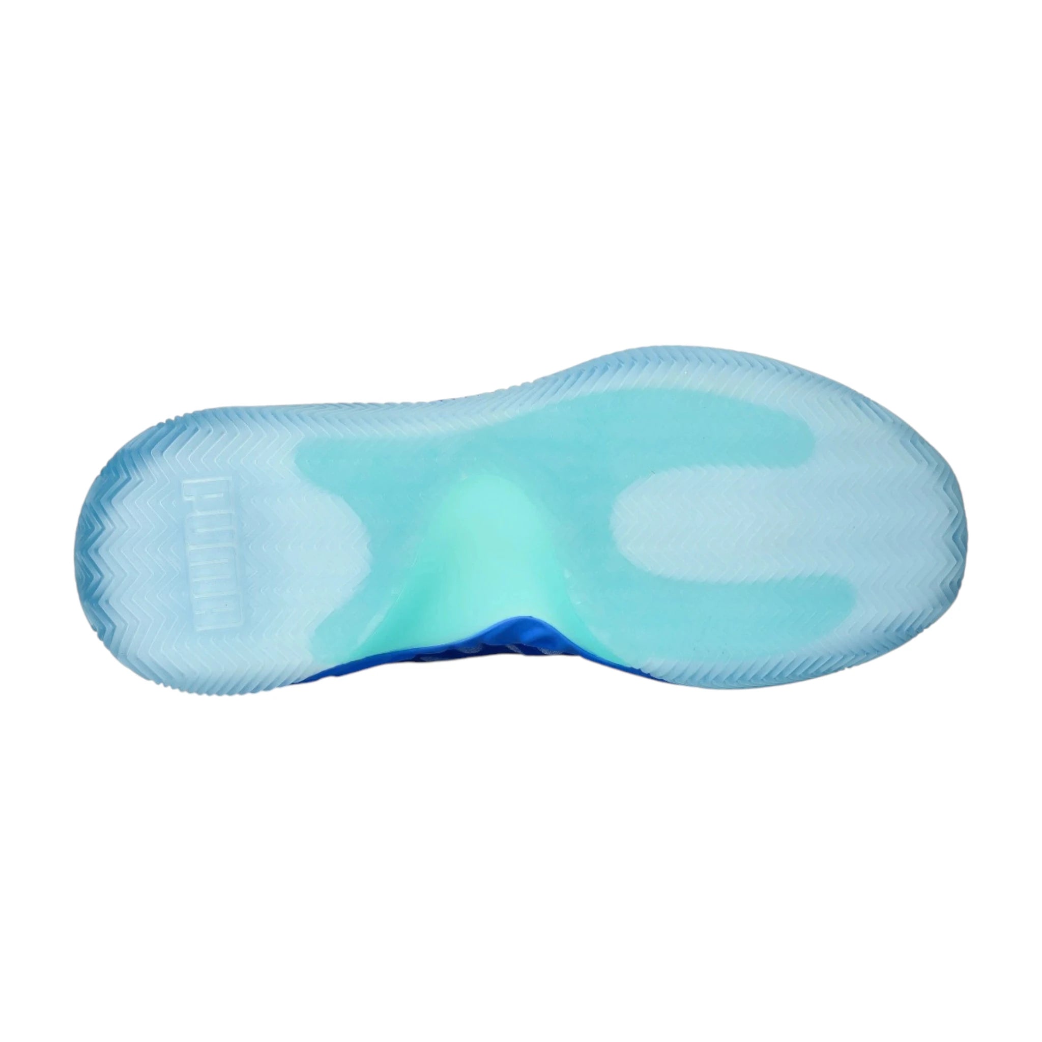 Puma Hali 1 “Opal” 28.5 PUMA Hali 1 Opal 28.5 プーマ NBA ハリ