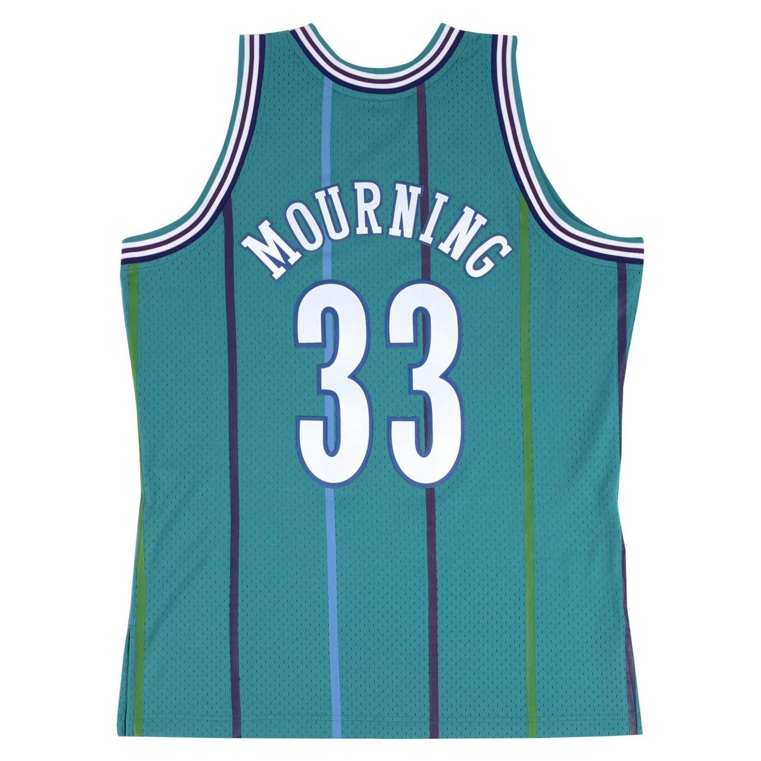 CHARLOTTE ALONZO MOURNING SWINGMEN JERSEY TripleBasket